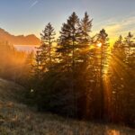 Nature experience Switzerland